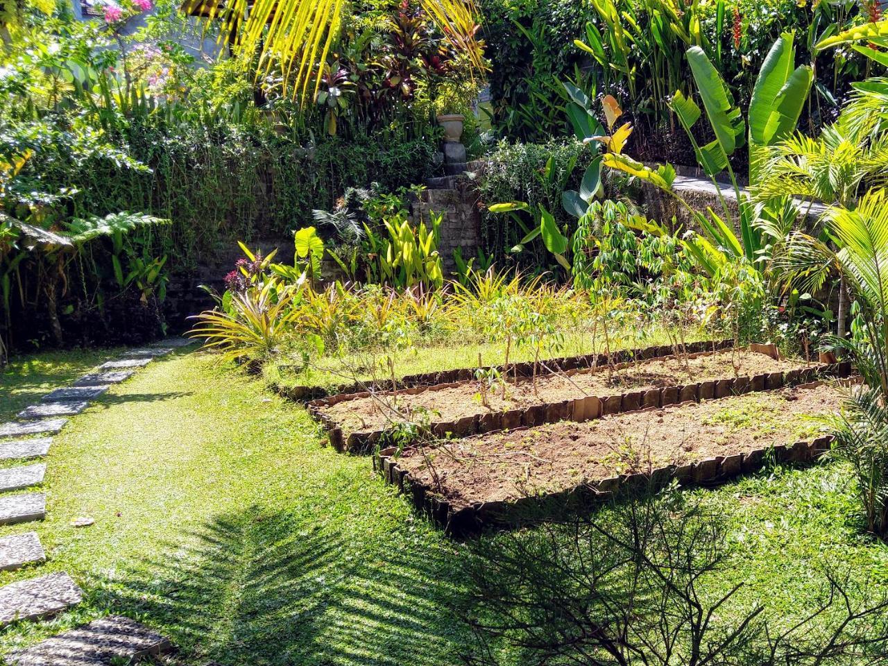 Gasthof Putu's Paradise 2*